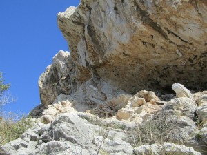 IMG_4471 (Medium)